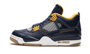 Air Jordan 4 Retro Dunk From Above 1