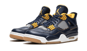 Air Jordan 4 Retro Dunk From Above 3