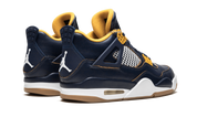 Air Jordan 4 Retro Dunk From Above 4
