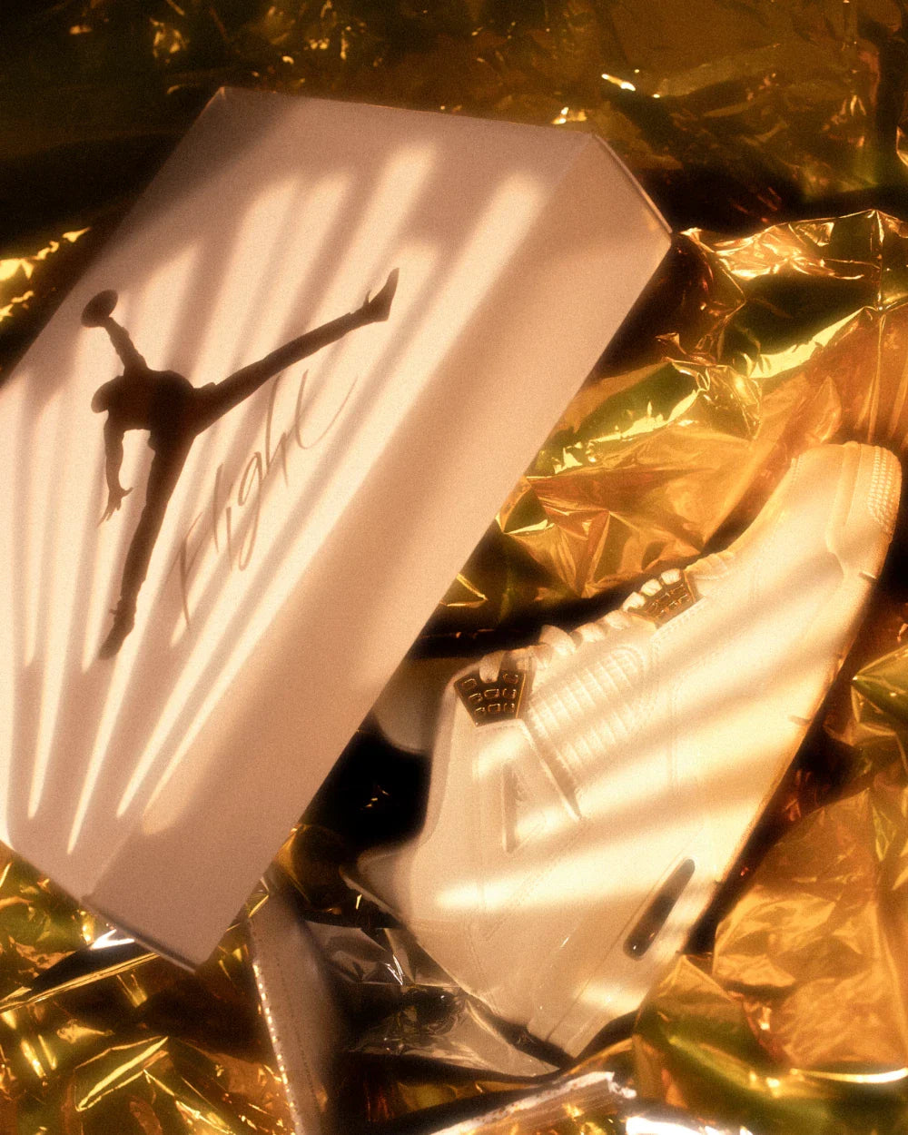 Air Jordan 4 Sail Metallic Gold 6