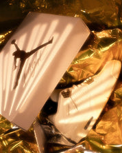 Air Jordan 4 Sail Metallic Gold 6