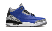 Jordan 3 Retro Varsity Royal Cement 7