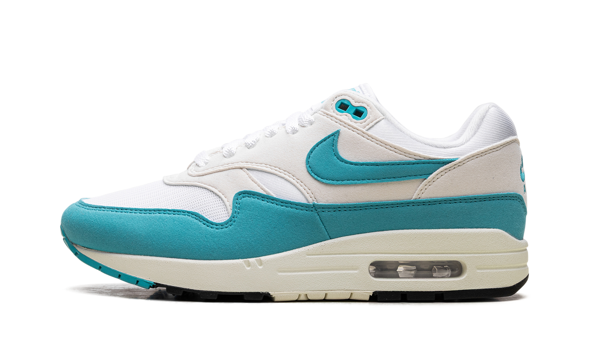 Nike Air Max 1 Dusty Cactus (W)