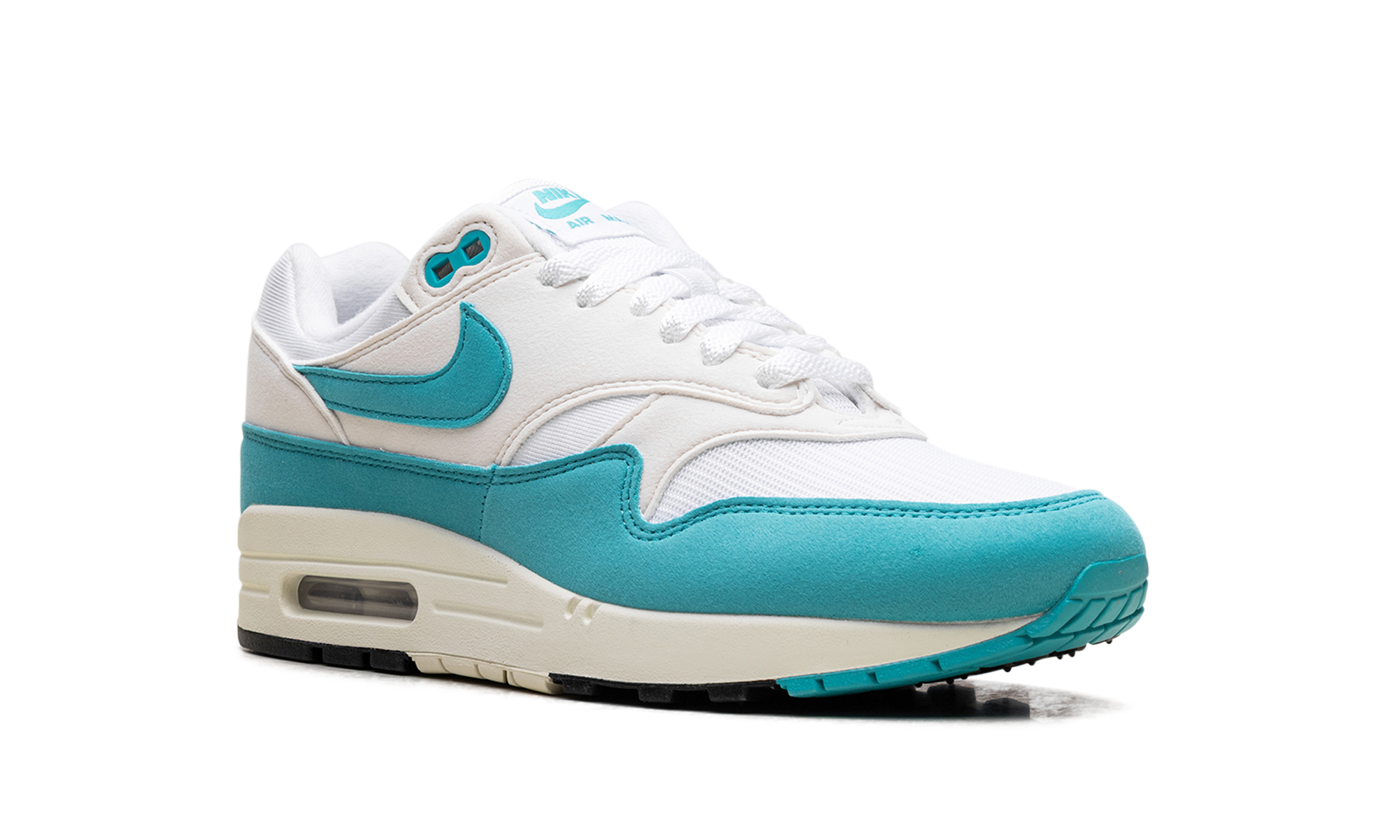 Nike Air Max 1 Dusty Cactus (W)