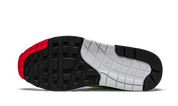 Nike Air Max 1 Evolution of Icons 4