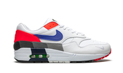 Nike Air Max 1 Evolution of Icons 8