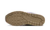 Nike Air Max 1 SP Concepts Far Out 5