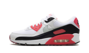 Nike Air Max 90 Aster Pink (W) 1