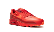 Nike Air Max 90 Chi-City Special 6