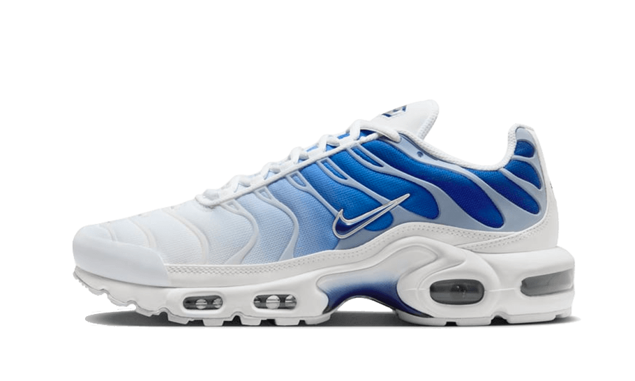 Nike Air Max Plus Blue Bland 1