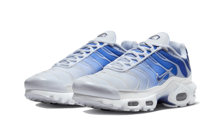 Nike Air Max Plus Blue Bland 2