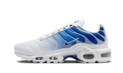 Nike Air Max Plus Blue Bland 4