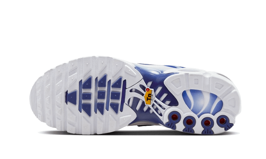Nike Air Max Plus Blue Bland 6