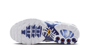 Nike Air Max Plus Blue Bland 9