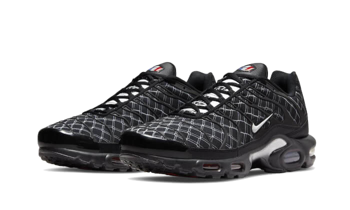 Nike Air Max Plus France 8