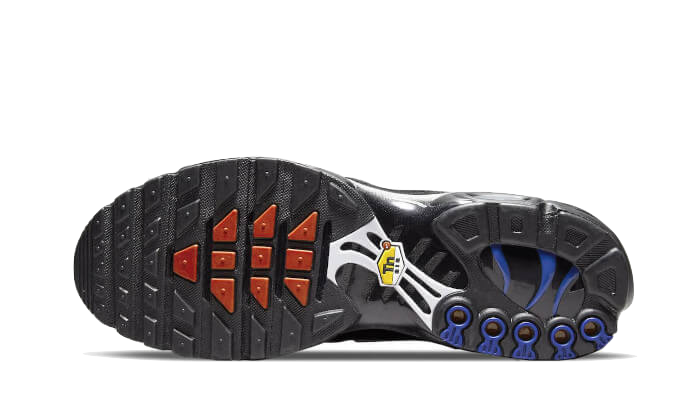 Nike Air Max Plus France 9