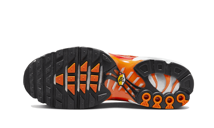 Nike Air Max Plus Light Photography 3