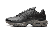 Nike Air Max Plus Premium Paris 1