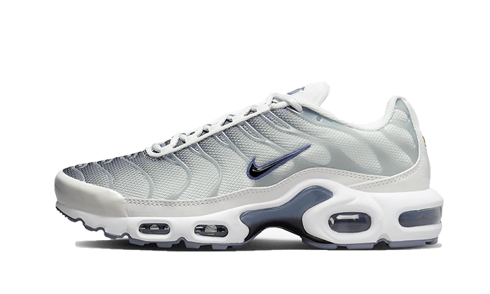 Nike Air Max Plus Sail Gray 1