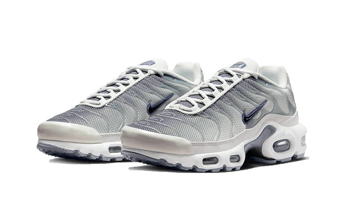 Nike Air Max Plus Sail Gray 2