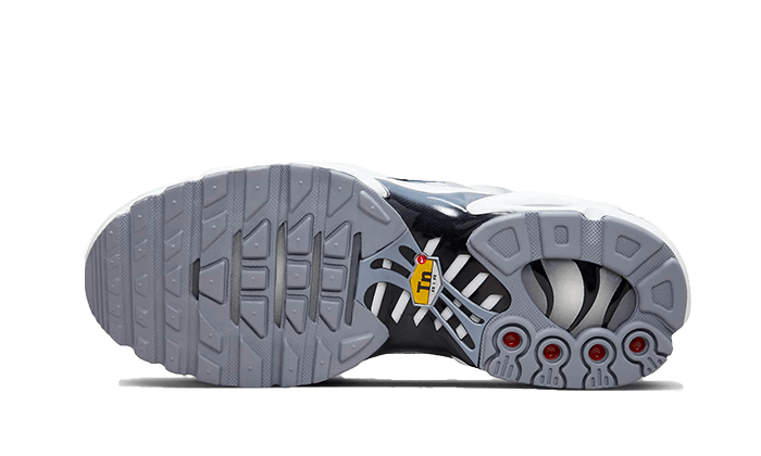 Nike Air Max Plus Sail Gray 6
