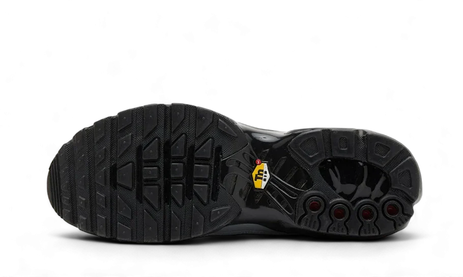 Nike Air Max Plus Tiempo Wolf Grey 3