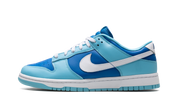 Nike Dunk Low Argon 9