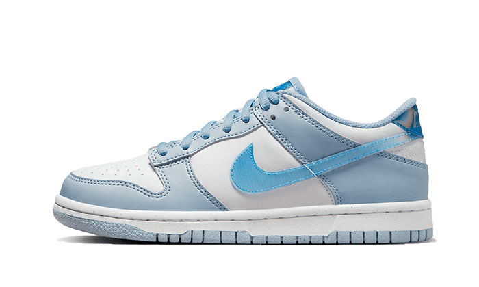 Nike Dunk Low Hologram 1