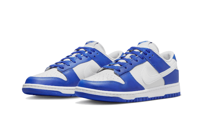 Nike Dunk Low Kentucky Alternate 2