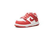 Nike Dunk Low White Gypsy Rose (TD) 5