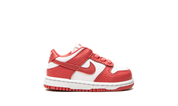 Nike Dunk Low White Gypsy Rose (TD) 7