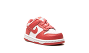 Nike Dunk Low White Gypsy Rose (TD) 8