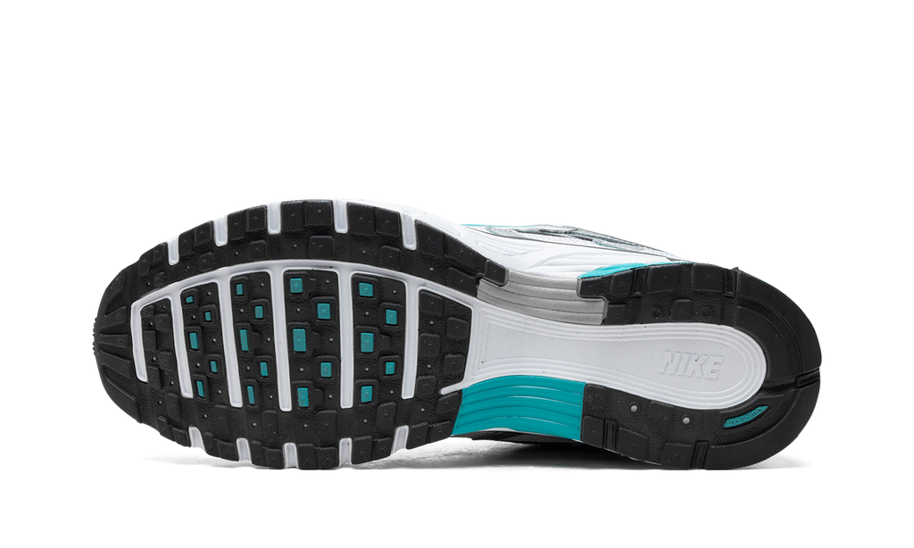 Nike P-6000 Dusty Cactus 6