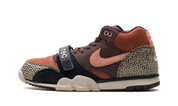 Nike SB Air Trainer 1 Arts-Rec Limestone 1