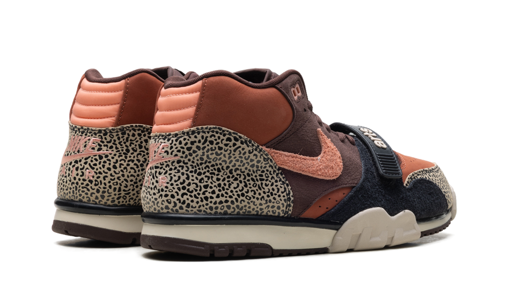 Nike SB Air Trainer 1 Arts-Rec Limestone 4