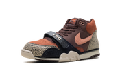 Nike SB Air Trainer 1 Arts-Rec Limestone 5