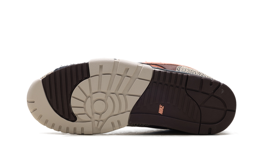 Nike SB Air Trainer 1 Arts-Rec Limestone 6