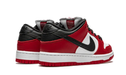 Nike SB Dunk Low Pro Chicago 7