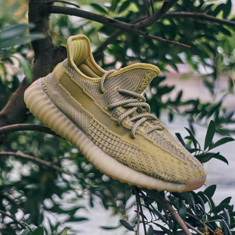 Yeezy Boost 350 V2 Antlia (non-reflective) 6