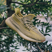 Yeezy Boost 350 V2 Antlia (non-reflective) 6
