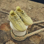 Yeezy Boost 350 V2 Antlia (non-reflective) 7
