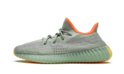 Yeezy Boost 350 V2 Desert Wise 1