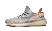 Yeezy Boost 350 V2 True Form 1