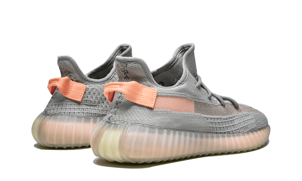 Yeezy Boost 350 V2 True Form 4