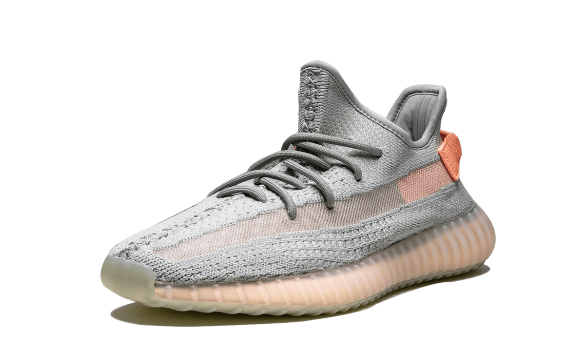 Yeezy Boost 350 V2 True Form 5