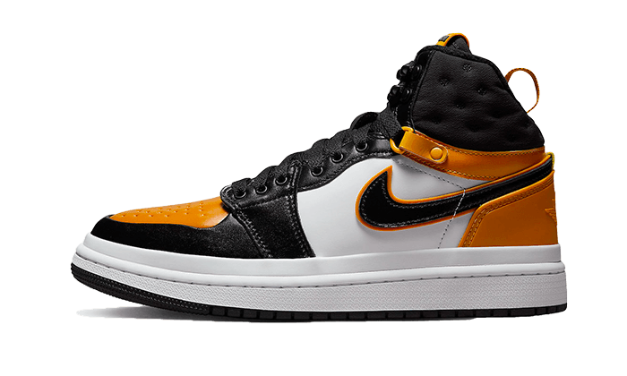 Air Jordan 1 CHUTNEY acclimatum