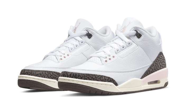 Air Jordan 3 Dark Mocha (Neapolitan) 2