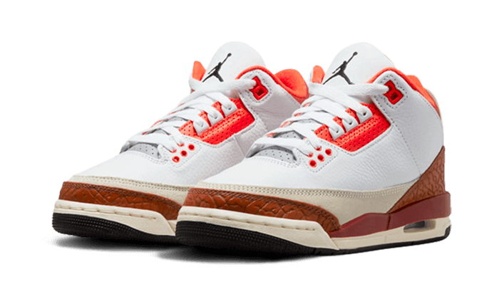 Air Jordan 3 Dunk On Mars 2