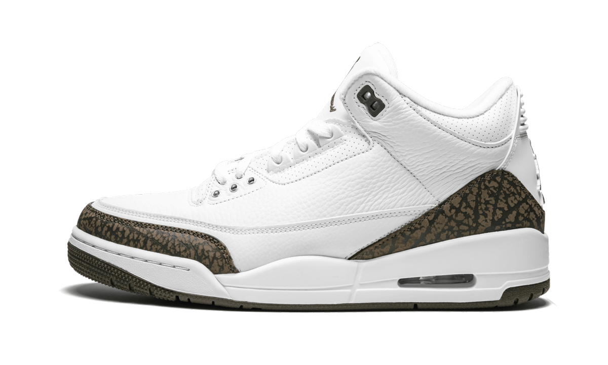 Air Jordan 3 Retro Mocha 1