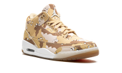 Air Jordan 3 Retro Wgb Desert Camo 2
